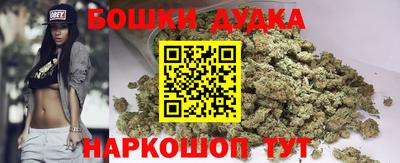 МДПВ Славгород