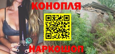 МДПВ Славгород